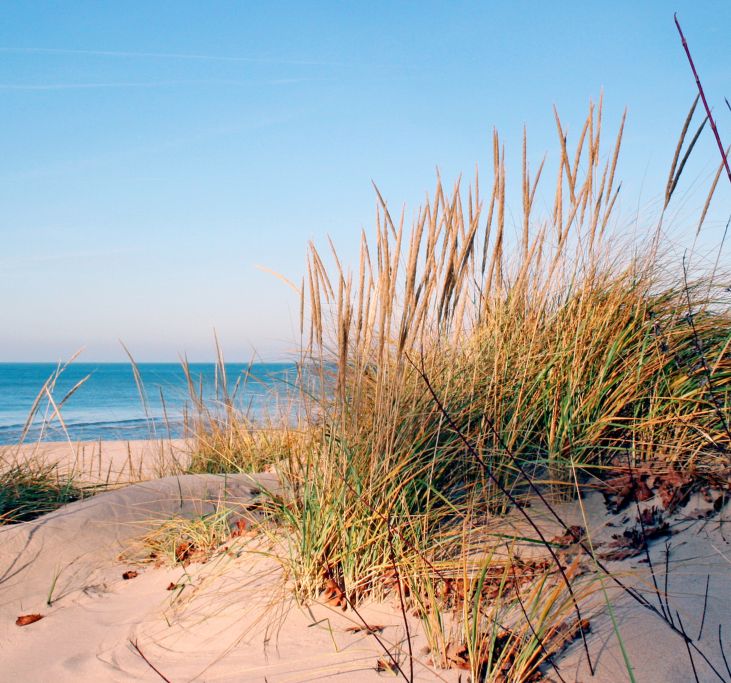 things to do for destination